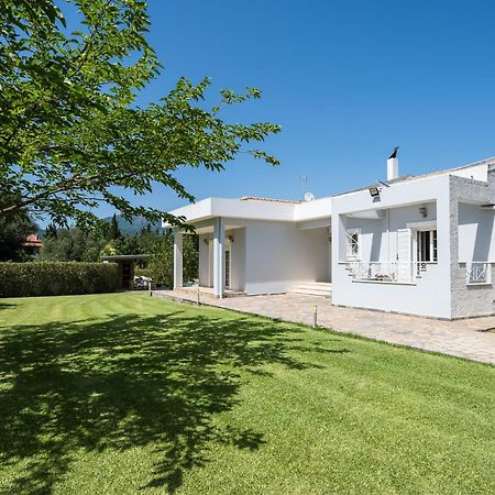 Villa Nefeli With Private Pool By Konnect Dassia  Exteriör bild